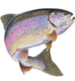 Fishy Business Logo Left